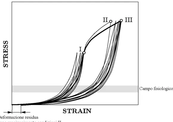Figura 2.5  Diagramma schematico di una tipica curva sforzo-deformazione per una striscia   circonferenziale (per la media) in condizioni passive [1]: cicli di carico 