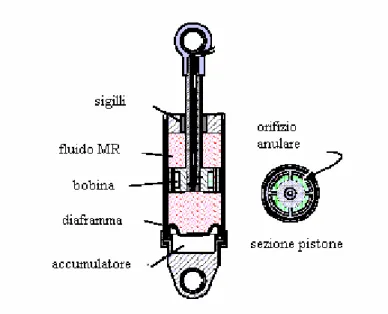 Figura 1.7: sezione di un ammortizzatore MR 