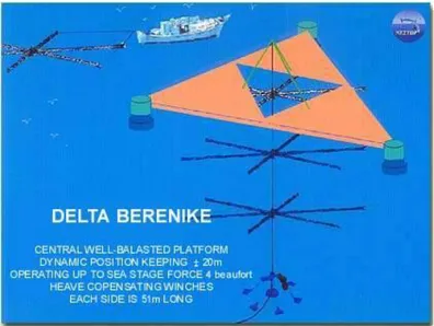 Figure 2.13: The DELTA-BERENIKE platform