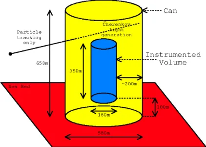 Figure B.1: Instrumented volume and “can” volume used for ˇ Cerenkov light simulation.