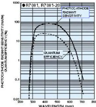 Figure 3.8: Hamamatsu measure- measure-ments of Q.E. for PMT R7081.