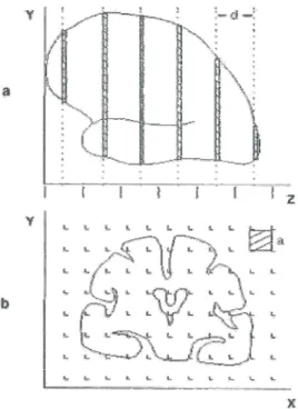 Figura 4-14: Illustrazione del principio di Cavalieri, a:L’oggetto da misurare viene sezionato sistematicamente  con sezioni separate da una distanza d