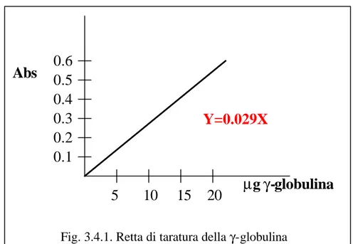 Fig. 3.4.1. Retta di taratura della  γ -globulina 