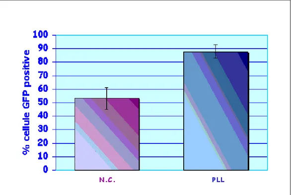 Figura 4.11: Confronto dell’efficienza di trasduzione del surnatante non  concentrato (NC) e concentrato con poli-lisina (PLL) 