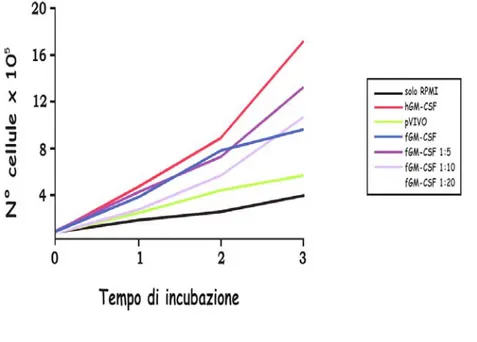 Figura 4.2: Cinetica di crescita delle TF-1 in presenza del surnatante  contenente fGM-CSF raccolto a 2 giorni dalla trasfezione