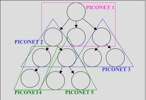 Figura 2-7  :  la scatternet ad albero