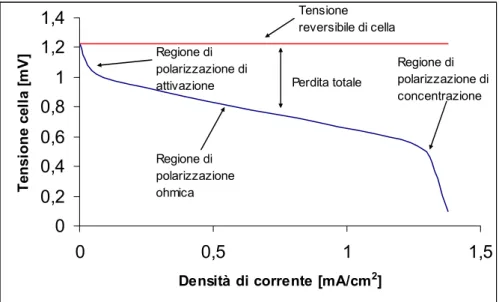 Figura 2.6 – Curva caratteristica tensione/densità di corrente in una cella a combustibile PEM  In base alla curva tensione corrente è possibile ricavare il valore della potenza  elettrica, come mostrato nella figura seguente