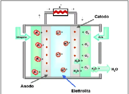 Figura 2.5 - Schema di funzionamento di una cella alimentata con idrogeno puro 