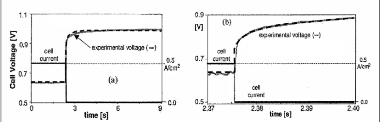 Figura 4.3 - Tipiche risposte dinamiche delle celle PEM a gradini di corrente [17] 