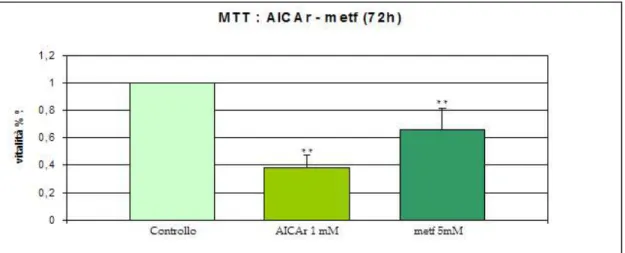 Figl 3l5l Effeit tizctittzta2tiAf.tLa iitalitt delle cellule SH-SY5Y è stata misurata con il metodo dell’ TT  come descrito in  ateriali e  etodi0i dopo 7  ore di tratamento con AICA riboside  AICAr0 o met ormina  met 0l I dati sono espressi come media 6 S