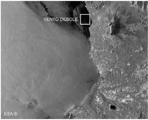Fig. 4.3  -  Immagine SAR ERS-1 PRecision Image (PRI) della zona di Catania  Dati forniti dalla European Space Agency © ESA (2002)