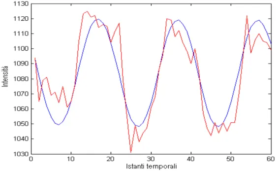 Figura  2   mostra   l’andamento  nel   tempo  del   voxel  di   coordinate  x=40,  y=36 ricostruito   (curva   blu),   confrontato   con   l’originale   (curva   rossa)   nel   caso   di fattore di accelerazione 2, per una varianza del rumore pari a  VAR*
