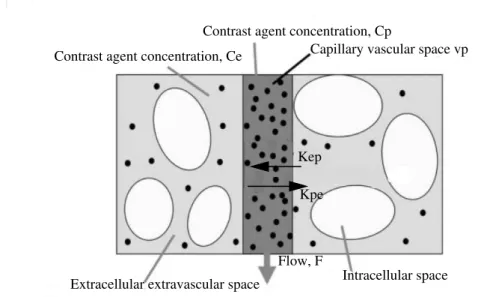 Figure 1.1: Major compartments and functional variables involved in the distri- distri-bution of contrast agent tracer in tissue.