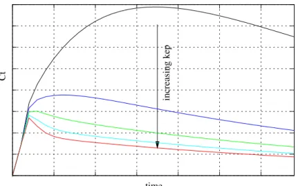 Figure 1.4: Simulated curves related to the gadolinium transport between the compartments