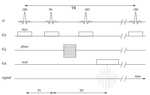 Figure 2.5: Basic part of an inversion recovery sequence. T 2 -weighted as well.