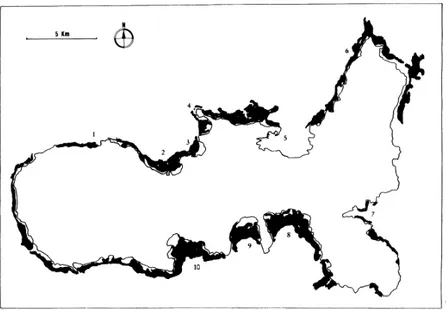 Figura 2.1.1.3: mappatura delle praterie di Posidonia oceanica  dell’Isola d’Elba. 