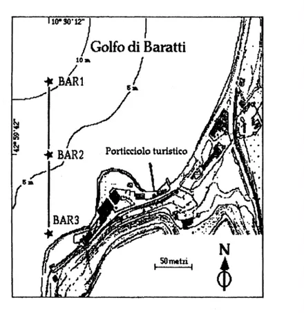 Figura 2.1.3.1: immagine cartografica della prateria di Baratti.