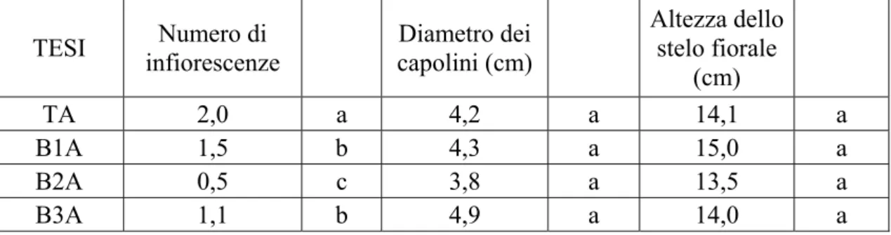 Tabella 7. Medie per tesi relative a numero di infiorescenze, diametro dei capolini  ed altezza dello stelo fiorale ottenute in seguito al rilievo effettuato in data  24/06/2004