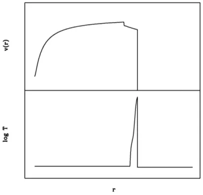 Figura 3.2: Schema che illustra l'espansione libera del vento stellare nella prima fase dell'evoluzione di una wind bubble : la velocità del vento segue una β-law, la quantità di materiale interstellare accresciuto dalla bolla è ancora trascurabile rispett