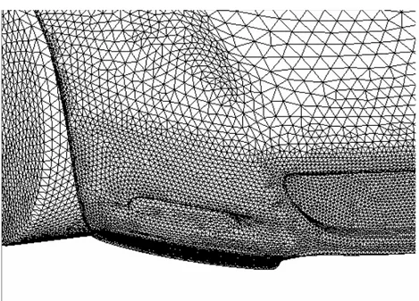 Figura 3.5 – Dettaglio della mesh di superficie sul muso della macchina. 