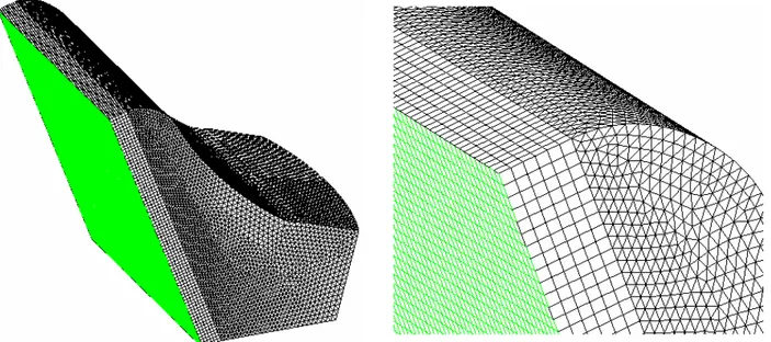 Figura 3.6 – Mesh di superficie del condotto di afflusso e del radiatore, con dettaglio di quest'ultimo