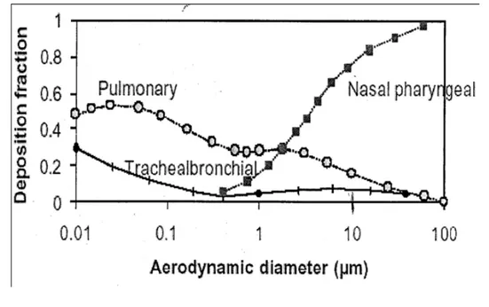Figura 6: Efficienza di deposizione delle particelle in diverse parti dell’apparato respiratorio in  funzione del loro diametro (Hinds, 1982) 