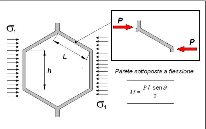 Figura 4.6 – 4.7 – Analisi di uno stato di sollecitazione uniassiale di una cella a  nido d’ape 