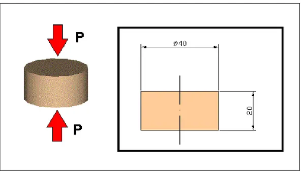 Figura 9.2 – Schema di prova “flatwise”, le dimensioni riportate sono in mm 
