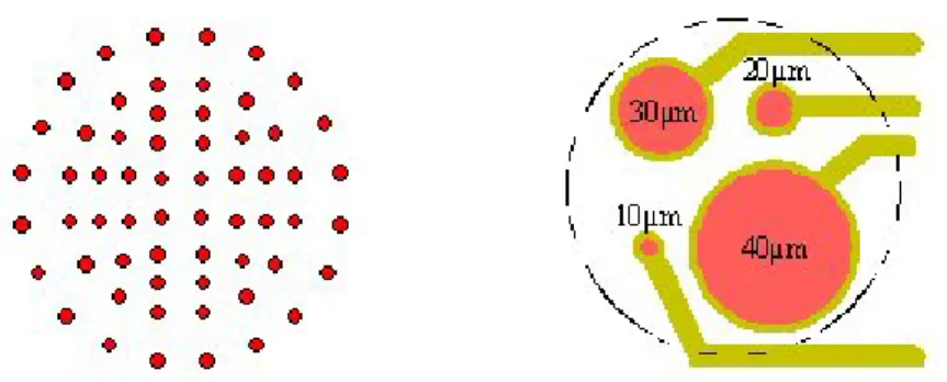Fig. 1.12 : Ciascun pixel ( sinistra ) è costituito da quattro SPADs aventi diametri differenti (destra)