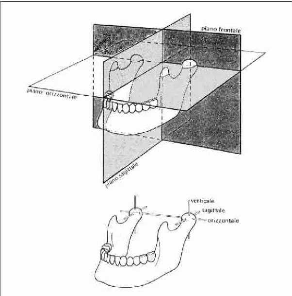 Figura 1.1: piani di riferimento per i movimenti della mandibola e assi di rotazione dei condili