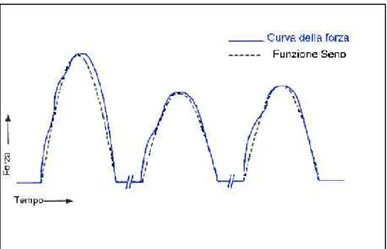 Figura 1.3: profilo delle forze agenti sui denti dell’arcata mandibolare durante un ciclo di  masticazione (linea continua), con sovrapposta la semionda positiva di una sinusoide (linea  tratteggiata)