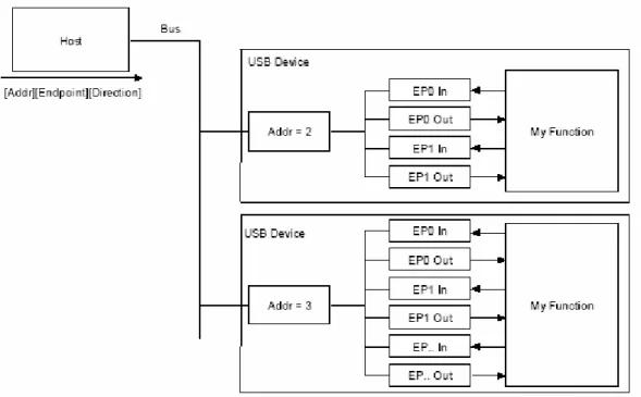 Figura 5.2: dettaglio del sistema di comunicazione USB, i cui sono rappresentati i collegamenti tra  l’host e gli endpoint di due dispositivi [26]