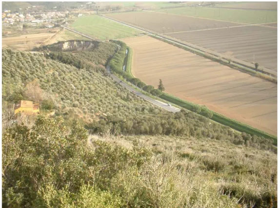 Figura 7.8: versante sud – est dell’ANPIL Monte Castellare; la vegetazione a macchia bassa, 