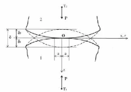 Figura 3.6 – Contatto hertziano tra due solidi elastici non conformi[8] 