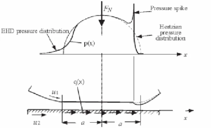 Figura 4.15- Distribuzione delle pressioni di contatto EHD