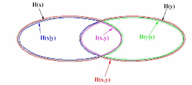 Fig. 7: Legami tra mutua informazione, densità condizionate e densità marginali  3.2.2 Principio a massima entropia 