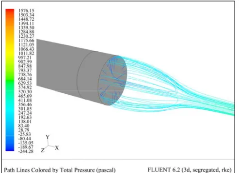 Figura 5.16 Visualizzazione delle linee di corrente nella scia 