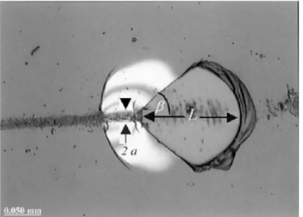 Figura  2.10  -  Tipico  esempio  di  chipping  (scheggiatura  del  rivestimento)  che  si  sviluppa  durante  la  prova di scratch con sfera di raggio 150 µm; L’immagine si riferisce ad una provino ricoperto da uno  strato di sol-gel spesso 2 µm [96]