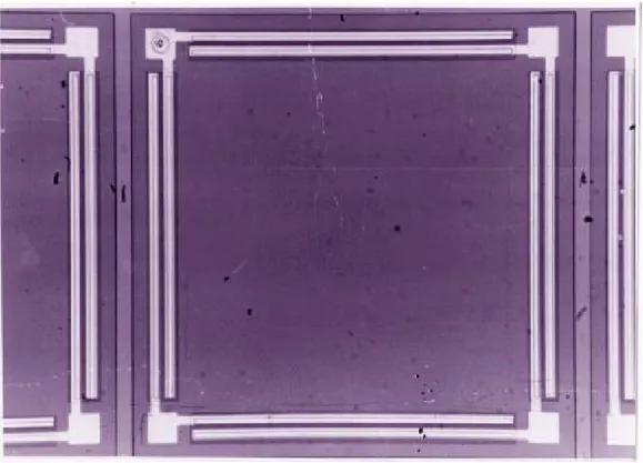 Figura 1.3:Fotografia del primo anemometro realizzato da Van Putten  e Middelhoek nel 1974 su silicio