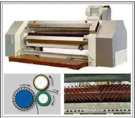 Fig. 1.2.1.1: Scarnatrice; disposizione dei principali rulli; particolare del cilindro a lame 