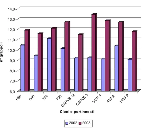 Fig. 6  – Confronto tra il numero medio di grappoli per pianta rilevati  sui  7 cloni e sui due portinnesti nei due anni di osservazione.