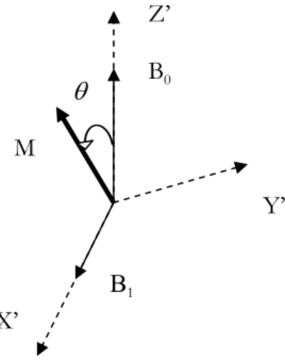 Fig 1.3 inclinazione della magnetizzazione in dipendenza dell’angolo di mutazione 