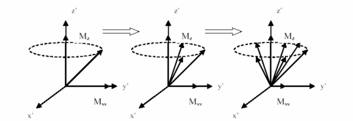 Fig 1.4 la magnetizzazione trasversa  inizia a perdere coerenza di fase fino a che si ha un  annullamento della sua componente 