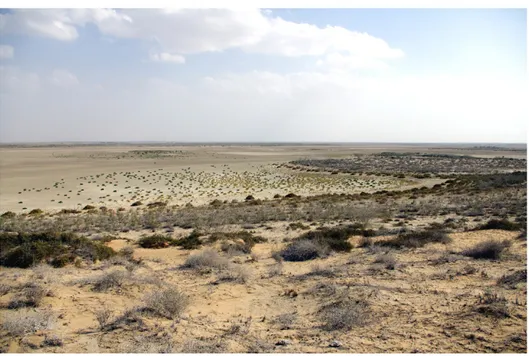 Figure 2. The dry depression of Lake Siranda from the south eastern shore from site SRN-63  (photograph by Paolo Biagi, January 2013)