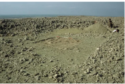Figure 3. Rohri Hills: excavations underway at the Indus Civilisation chert workshop and mine  RH-59 (photograph by P