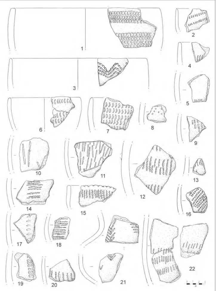 Fig. 8 – Arma dell’Aquila: frammenti ceramici caratteristici della Cultura della Ceramica Impressa: scavi Richard, dal talus (nn