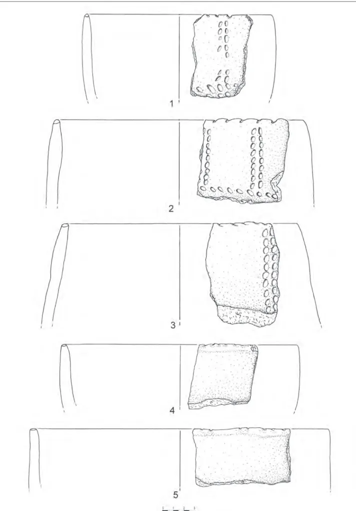 Fig. 11 – Arma dell’Aquila: frammenti ceramici caratteristici della Cultura della Ceramica Impressa: scavi Richard, 6° focolare (nn
