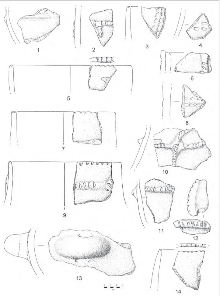 Fig. 12 – Arma dell’Aquila: frammenti ceramici caratteristici della Cultura della Ceramica Impressa: scavi Richard, dal talus (nn
