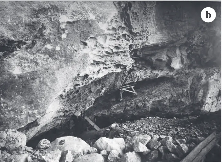 Fig. 2 – Arma dell’Aquila: la zona dell’“antro di destra” ripresa nell’inverno del 2007 (a) nella pagina precedente; sopra, la stessa du- du-rante la campagna di scavo del 1938 di C