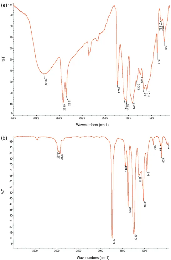 Fig. 3. FTIR-ATR spectra of the pink paint in Concetto spaziale-La Fine di Dio, (63 FD 14) (a) and of the adhesive used to glue sequins in Concetto spaziale-La Fine di Dio, (63 FD 23) (b): a: FTIR-ATR spectrum of the pink paint in Concetto spaziale-La Fine